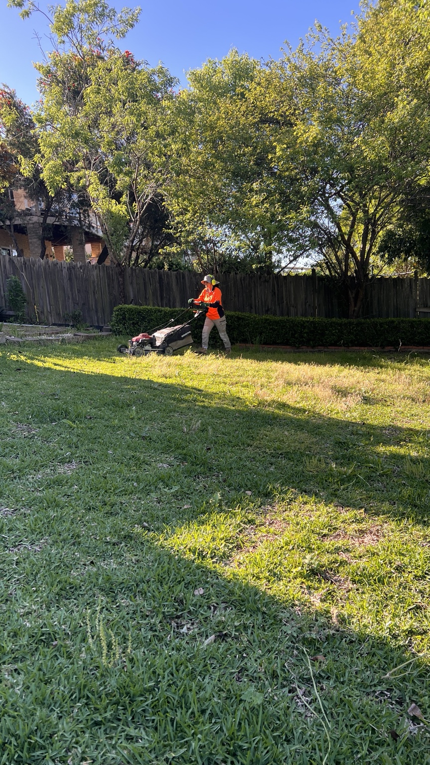 Cheetah Gardening mowing a backyard lawn