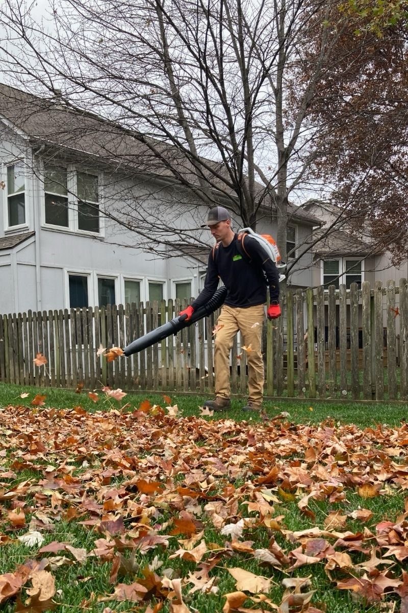 A gardener using a backpack leaf blower to clear fallen leaves from a lawn