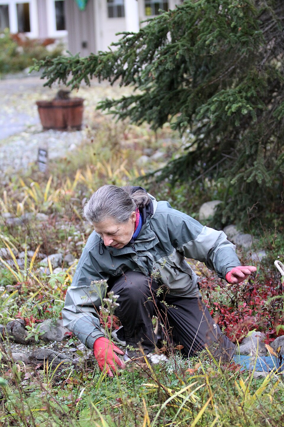 Gloved hands removing unwanted weeds from a garden bed